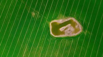 plas in het midden van het veld luchtfoto foto