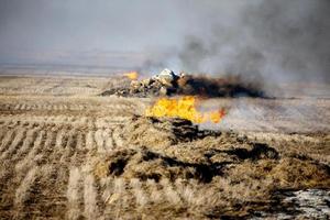 prairie stoppels branden foto