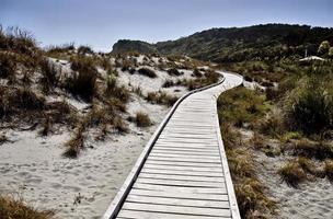 houten loopbrug nieuw zeland foto