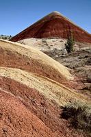 geschilderde heuvels oregon foto