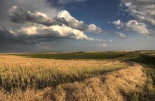 storm wolken saskatchewan foto