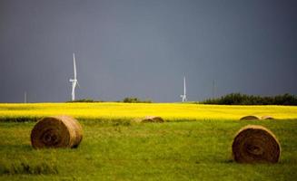 onweerswolken canada windmolenpark foto