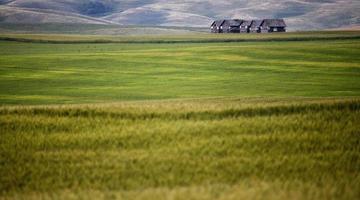 verlaten boerderij foto