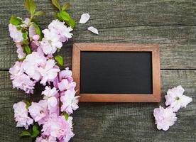 sakura bloesem met schoolbord foto