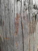 de textuur van de oude houten plank is lichtgrijs. verticale achtergrond foto