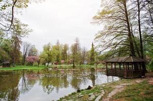 meer met waterlelies in lentepark met prieel foto