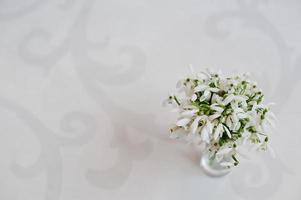 sneeuwklokje bloemen bij vaas op witte glans achtergrond met ornament foto