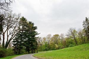 weg door landschap met verse groene bomen in het vroege voorjaar op bewolkte dag foto