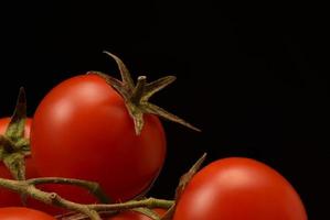 cherry tomaten op een tak close-up. geïsoleerd op zwarte achtergrond. foto