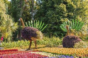 struisvogelfiguur gemaakt van kleurrijke bladeren op de jaarlijkse bloemententoonstelling in de tuin foto