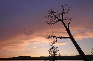 silhouetten bij zonsondergang foto