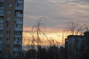 nieuwe gebouwen tegen de achtergrond van roze wolken in de stad foto