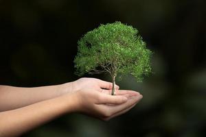 grote boom die in menselijke hand groeit op onscherpe achtergrond, concept van de aardedag foto