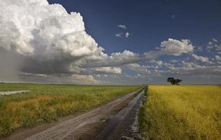 prairie hagel storm en regenboog foto