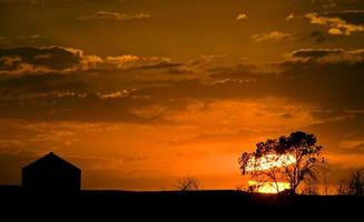 zonsondergang op de prairies foto