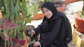 de schoonheid in hijab die graag bloemen plant in de tuin foto