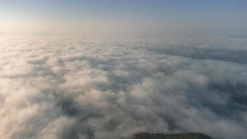 zee van mist bedekt het gebied op de top van de heuvel doi phu thok, chiang khan, loei, thailand met achtergrond van zonsopgang in de winter. foto