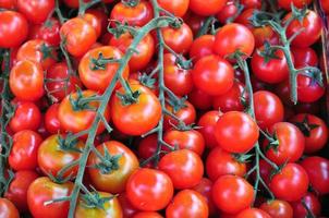 rode italiaanse tomatengroenten - gezond vegetarisch eten - nuttig foto