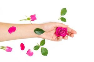 bovenaanzicht van vrouwelijke handen met mooie roos in de palm en in de hand, groen foto