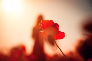 rode papaver op de achtergrond van een vrouwelijk silhouet op een zonnige dag, zachte focus foto