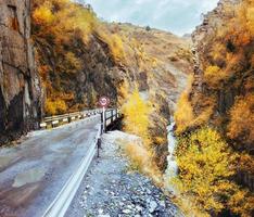 gouden herfstlandschap tussen de rocky mountains in georgië. stenen weg. Europa foto