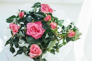 roze roos bloemen arrangement geïsoleerd op wit foto
