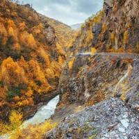 gouden herfstlandschap tussen de rocky mountains in georgië. stenen weg. Europa foto