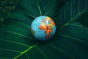 Earth globe op groene tropische bladeren foto