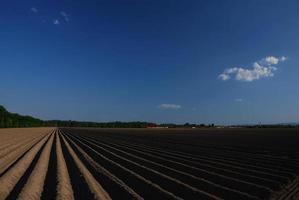 landbouwgrond met blauwe lucht en trein foto