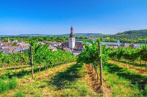 luchtfoto van wijngaarden rheingau wijngebied, rudesheim am rhein historisch stadscentrum met st. jakobus kerk foto