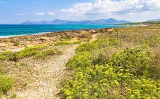 pad door kustlandschap panorama kan picafort mallorca spanje. foto