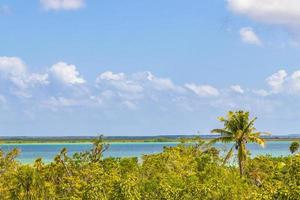 muyil lagune panorama uitzicht in tropische jungle mexico. foto