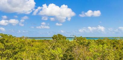 muyil lagune panorama uitzicht in tropische jungle mexico. foto