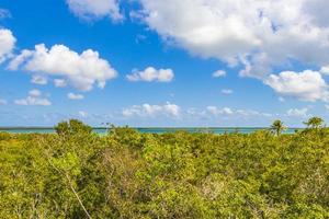 muyil lagune panorama uitzicht in tropische jungle mexico. foto