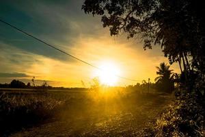 dramatische zonsondergang in dorp met pad en bomen foto