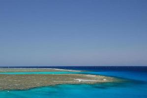 prachtig koraalrif in de zee in Egypte in de zomer foto