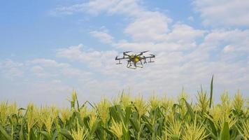 landbouwdrone vliegt en sproeit kunstmest en pesticiden over landbouwgrond, geavanceerde technologische innovaties en slimme landbouw foto