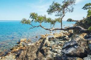 panoramisch uitzicht op zeekust. schoonheid wereld. kalkoen foto