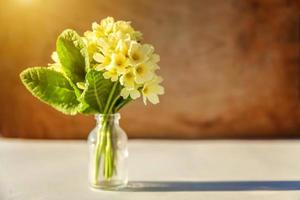 Pasen concept. boeket van primula primula met gele bloemen in glazen vaas op houten achtergrond. inspirerende natuurlijke bloemen lente of zomer bloeiende achtergrond. ruimte kopiëren. foto