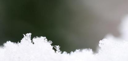 veel sneeuwkristallen met donkergroen panorama foto