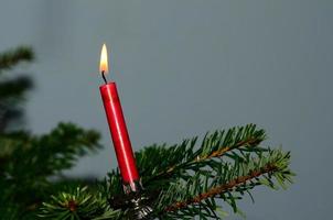 rode kaars op kerstboom foto