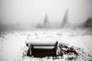 ijsmist in cipressenheuvels provinciaal park van saskatchewan foto