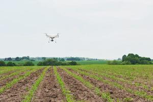 drone quad copter met hoge resolutie digitale camera op groen maïsveld foto