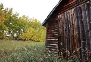 verlaten hoeve in alberta foto