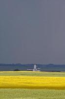 vlas- en koolzaadgewassen in saskatchewan foto