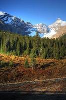 uitzicht op de Rocky Mountains langs Icefields Parkway foto