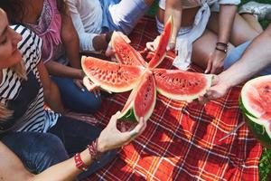 vrolijke vrienden genieten van watermeloen op picknick op zonnige zomerdag foto