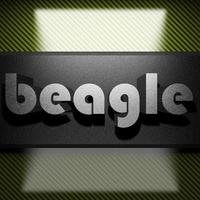 beagle woord van ijzer op koolstof foto