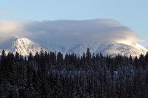 rotsachtige bergen in de winter foto