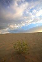 zandduin bij grote zandheuvels in het schilderachtige Saskatchewan foto